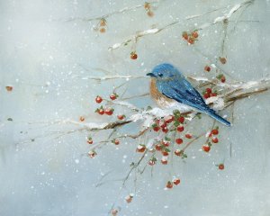 Blue Bird In Winter by Sally Swatland Oil Painting
