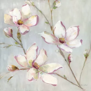 Blushing Magnolia I by Sally Swatland Oil Painting