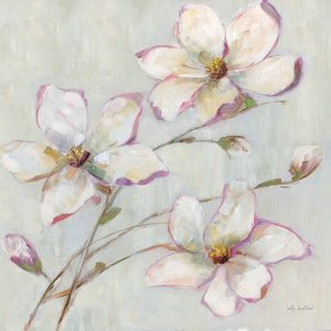 Blushing Magnolia II by Sally Swatland Oil Painting