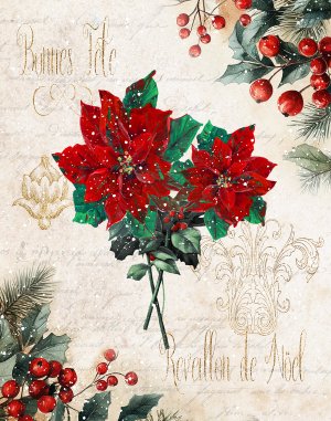 Bonne Fete Pointsettia by Sally Swatland Oil Painting