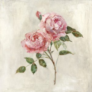 Botanical Beauties I by Sally Swatland Oil Painting