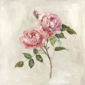 Botanical Beauties I by Sally Swatland Oil Painting