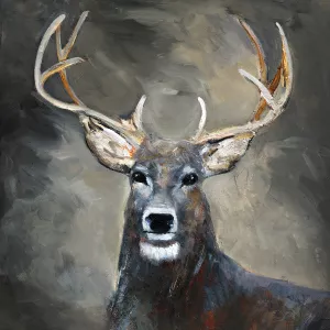 Buck by Sally Swatland Oil Painting