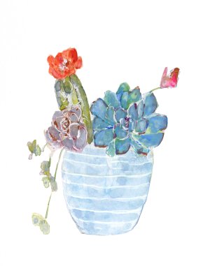 Cactus and Succulent Blooms I by Sally Swatland Oil Painting
