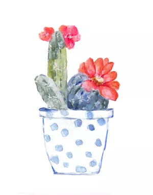 Cactus and Succulent Blooms II by Sally Swatland Oil Painting