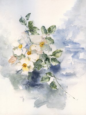 Dogwood Blossoms I by Sally Swatland Oil Painting