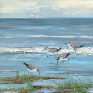 Dunlin Beach I by Sally Swatland Oil Painting