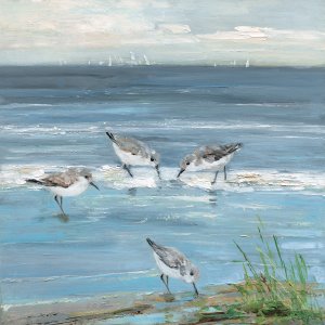 Dunlin Beach II by Sally Swatland Oil Painting