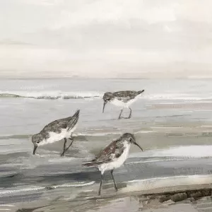 Evening Beach II Oil Painting by Sally Swatland - Contemporary