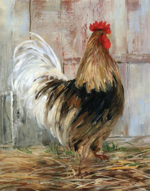 Farmhouse Rooster by Sally Swatland Oil Painting