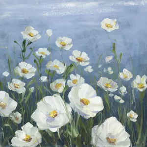 Field of Peace by Sally Swatland Oil Painting