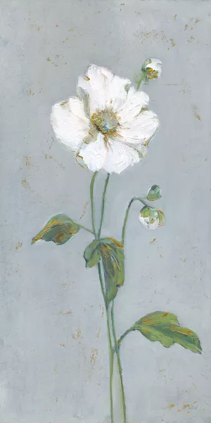 Flower Portrait with Gold II by Sally Swatland Oil Painting