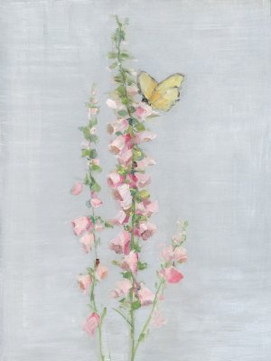 Foxglove Garden II by Sally Swatland Oil Painting