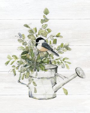 Garden Bird I by Sally Swatland Oil Painting