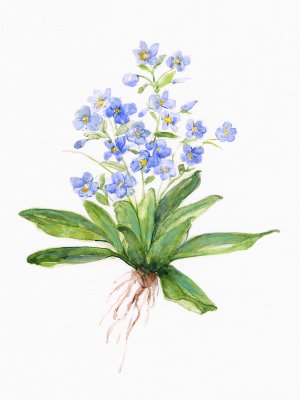 Garden Botanical I by Sally Swatland Oil Painting