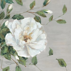 Garden Melody I by Sally Swatland Oil Painting