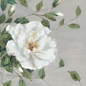 Garden Melody I by Sally Swatland Oil Painting