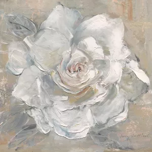 Gardenia Blush by Sally Swatland Oil Painting