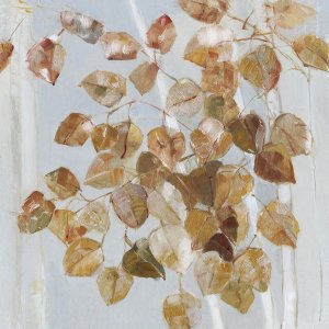 Golden Birch by Sally Swatland Oil Painting