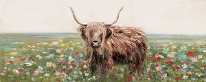 Highland Cow by Sally Swatland Oil Painting