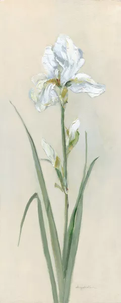 Iris Sibirica I by Sally Swatland Oil Painting