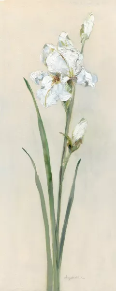 Iris Sibirica II by Sally Swatland Oil Painting