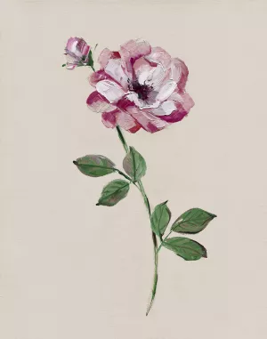 Jewel Rose I by Sally Swatland Oil Painting