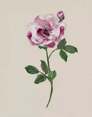 Jewel Rose II by Sally Swatland Oil Painting