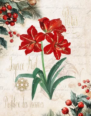 Joyeux Noel Amaryllis by Sally Swatland Oil Painting