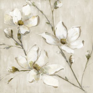 Magnolia Glimmer I by Sally Swatland Oil Painting