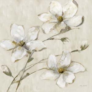 Magnolia Glimmer II by Sally Swatland Oil Painting