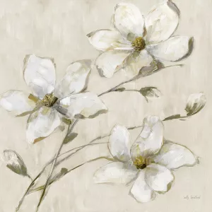 Magnolia Glimmer II by Sally Swatland Oil Painting