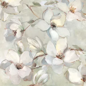 Magnolia by Sally Swatland Oil Painting