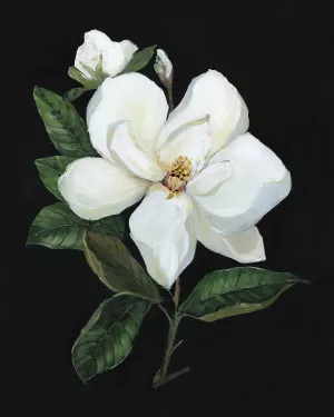 Midnight Magnolia by Sally Swatland Oil Painting