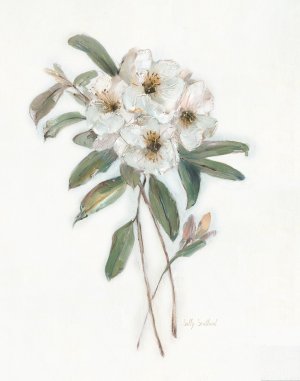 Mountain Laurel I by Sally Swatland Oil Painting