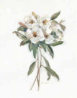 Mountain Laurel II by Sally Swatland Oil Painting