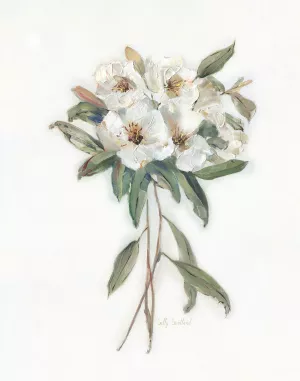 Mountain Laurel II by Sally Swatland Oil Painting