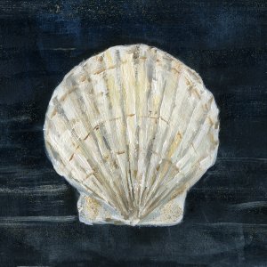 Night Shell I by Sally Swatland Oil Painting