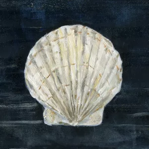 Night Shell I by Sally Swatland Oil Painting