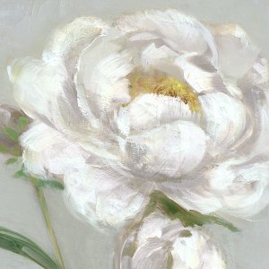 Peony Detail I by Sally Swatland Oil Painting