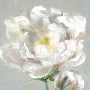 Peony Detail II by Sally Swatland Oil Painting