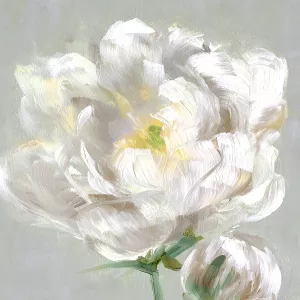 Peony Detail II by Sally Swatland Oil Painting