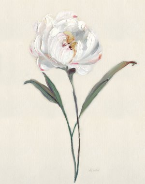Peony Grand I by Sally Swatland Oil Painting