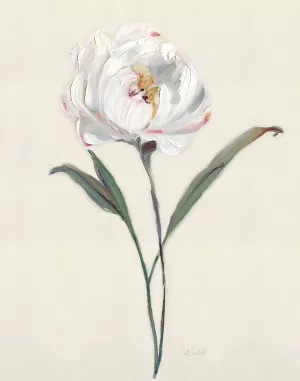 Peony Grand I by Sally Swatland Oil Painting