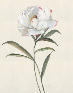 Peony Grand II by Sally Swatland Oil Painting