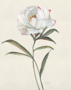 Peony Grand II by Sally Swatland Oil Painting