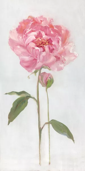 Peony I by Sally Swatland Oil Painting