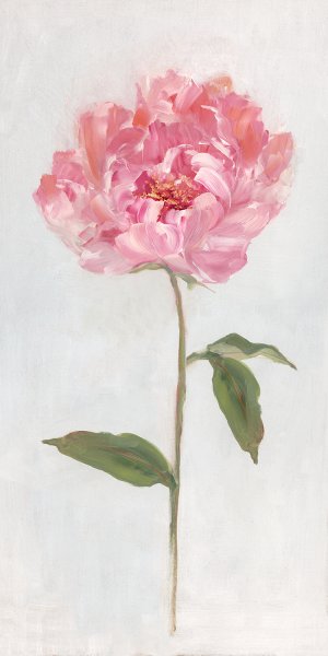 Peony II by Sally Swatland Oil Painting