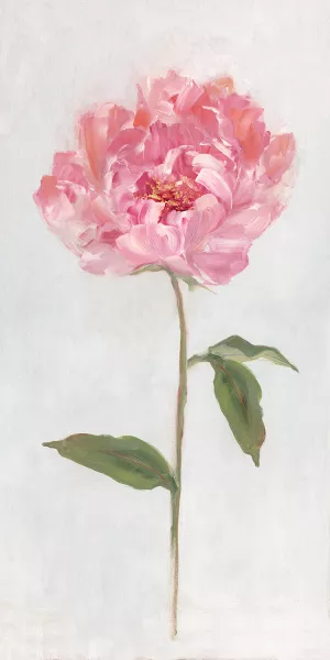 Peony II by Sally Swatland Oil Painting