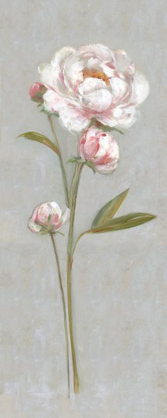 Peony Magic I by Sally Swatland Oil Painting